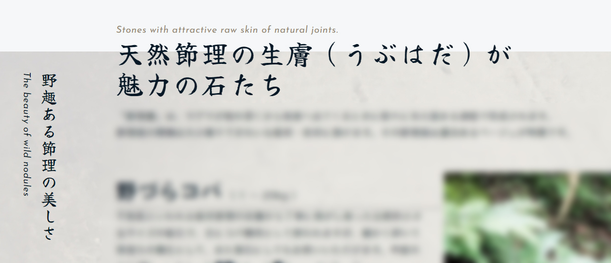 欧文書体と日本語書体